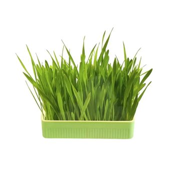 Imagen de Kit Para Pasto Rectangular