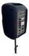 Imagen de CAJA ACUSTICA LEXSEN TINY 10W MIC+SOPORTE