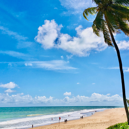 Imagen de PRAIA DO FORTE CON IBEROSTAR BAHIA TEMPORADA BAJA