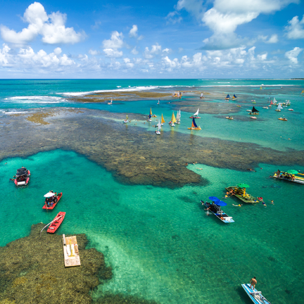 Imagen de RECIFE - PORTO GALINHAS