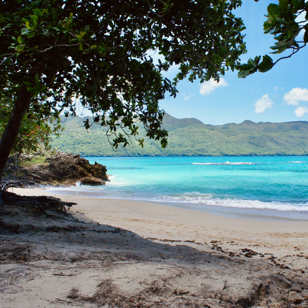 Imagen de SAMANÁ CON VIVA WYNDHAM TEMPORADA BAJA