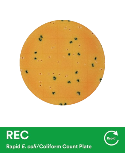 Imagen de Petrifilm E.coli/Coliformes Express 3M (25 unidades)