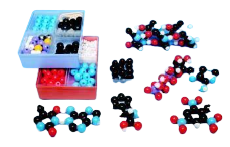 Imagen de Set para Profesores de Bioquímica