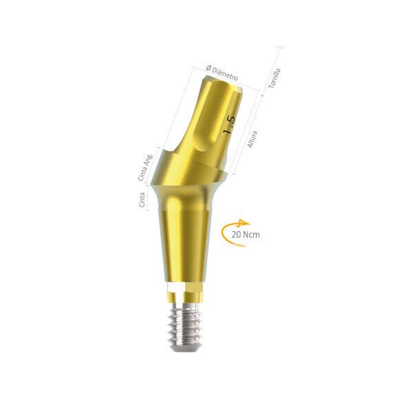 Imagen de MUÑON ANGULADO IDEALE 3.3 X 4 X 1.5 17º