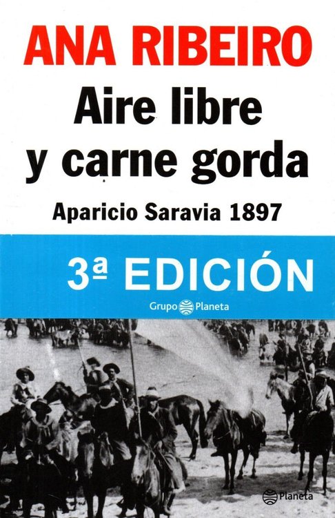 Imagen de Aire Libre Y Carne Gorda / Ana Ribeiro