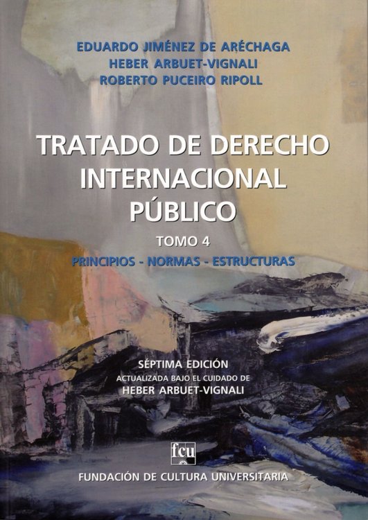 Imagen de Derecho Internacional Público Tomo 4 - Aréchaga