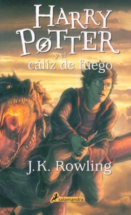 Imagen de Harry Potter y el Cáliz de Fuego 4 / J.K. Rowling