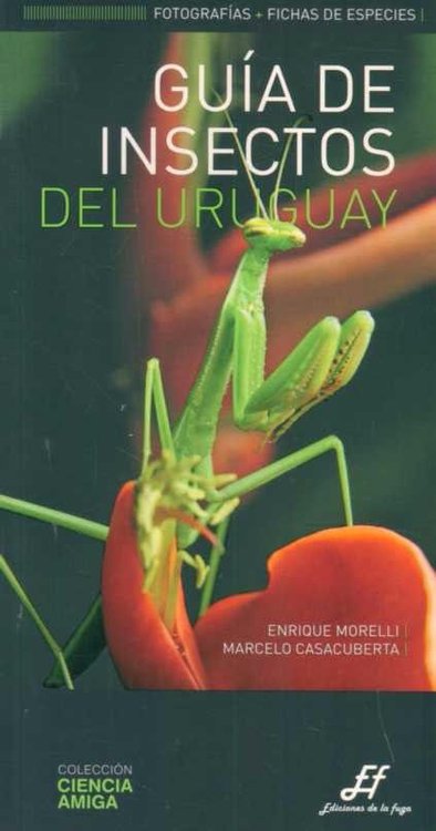 Imagen de Guía De Insectos Del Uruguay / Morelli Y Casacuberta