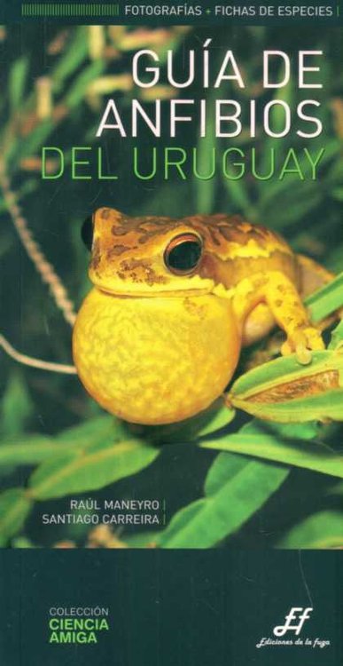Imagen de Guía De Anfibios Del Uruguay - Raúl Maneyro