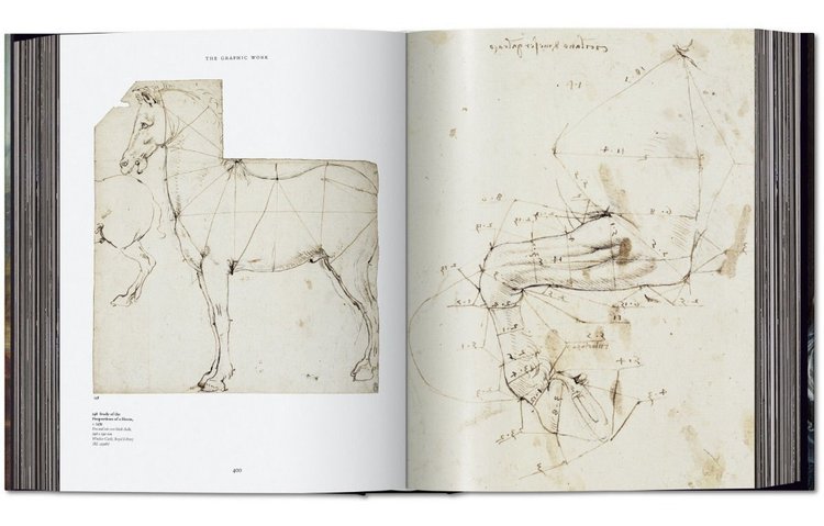 Imagen de Leonardo Obra Pictórica Completa / Taschen