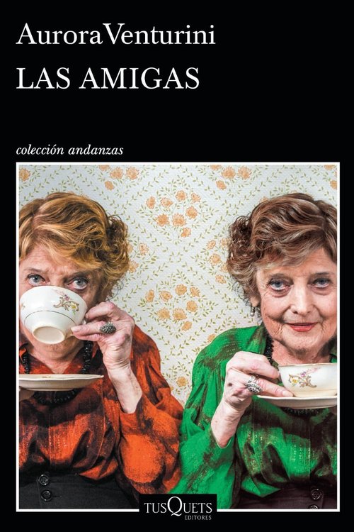 Imagen de Las Amigas / Aurora Venturini