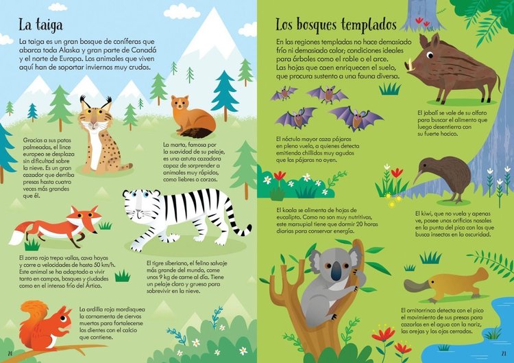 Imagen de Libro Animales Del Mundo Libro Y Puzle / K Robson - S Smith