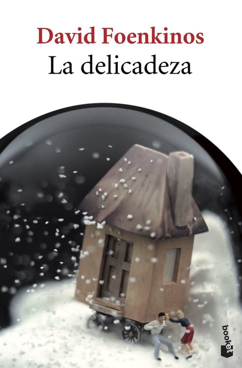 Imagen de La Delicadeza / David Foenkinos
