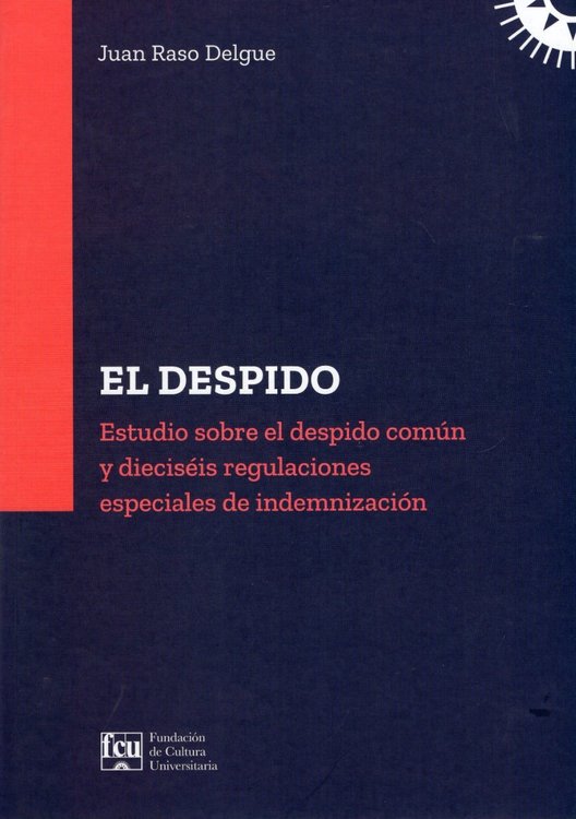 Imagen de EL DESPIDO / JUAN RASO DELGUE