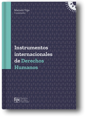 Imagen de Instrumentos Internacionales De Derechos Humanos