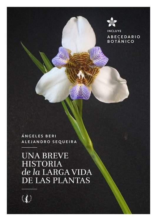 Imagen de UNA BREVE HISTORIA DE LA LARGA VIDA DE LAS PLANTAS / ÁNGELES BERI Y ALEJANDRO SEQUEIRA