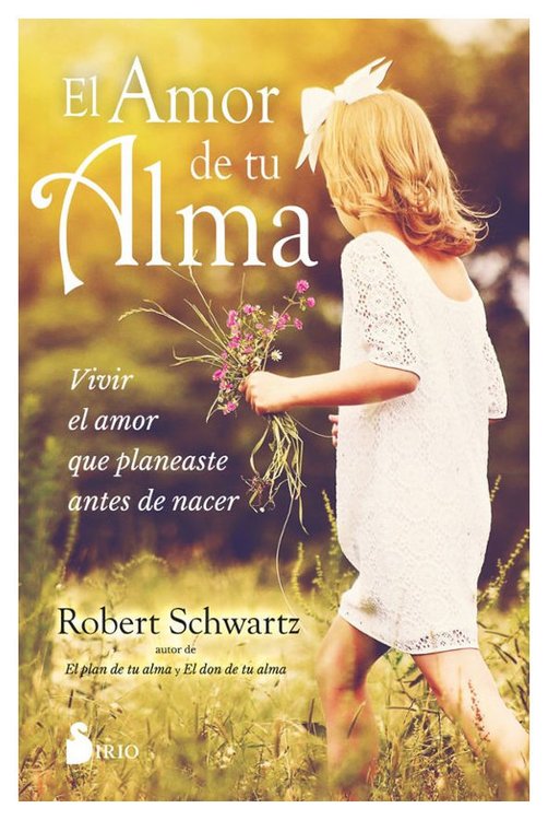 Imagen de EL AMOR DE TU ALMA: VIVIR EL AMOR QUE PLANEASTE ANTES DE NACER / ROBERT SCHWARTZ