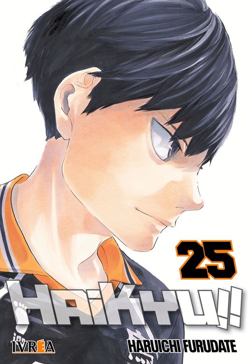 Imagen de HAIKYU!! 25 - MANGA - IVREA