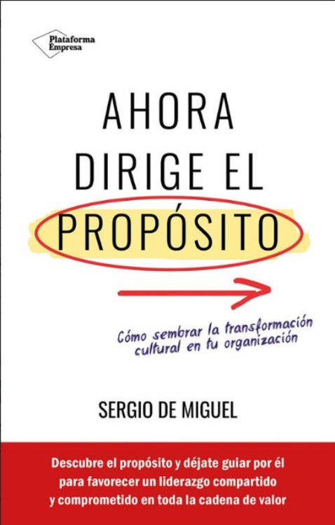 Imagen de AHORA DIRIGE EL PROPOSITO / SERGIO DE MIGUEL