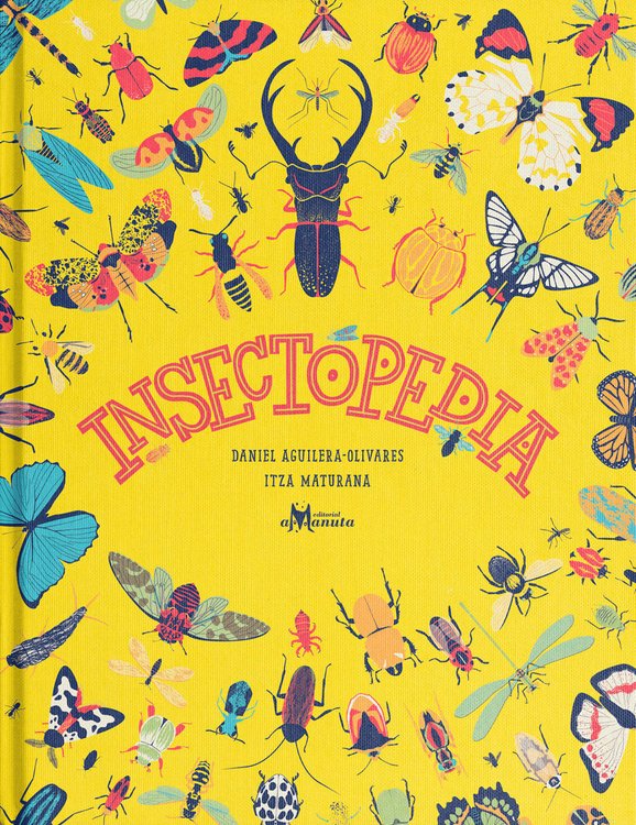 Imagen de INSECTOPEDIA / DANIEL AGUILERA-OLIVARES