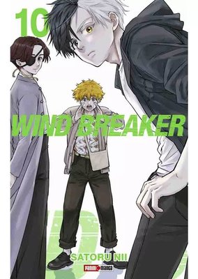 Imagen de WIND BREAKER VOL. 10 / SATORU NII