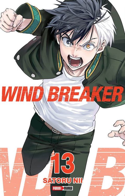 Imagen de WIND BREAKER VOL. 13 / SATORU NII