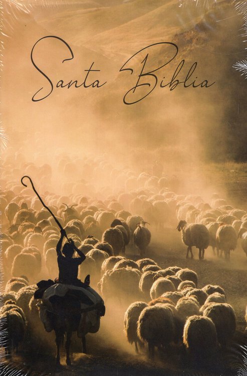 Imagen de SANTA BIBLIA - REINA VALERA 1960 / SOCIEDADES BÍBLICAS UNIDAS
