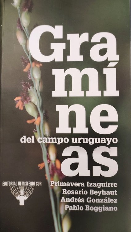 Imagen de GRAMINEAS DEL CAMPO URUGUAYO / VV.AA.