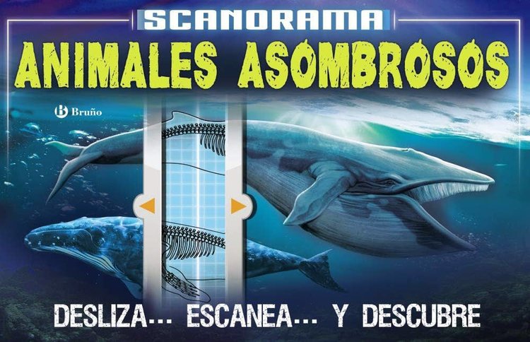 Imagen de SCANORAMA: ANIMALES ASOMBROSOS / BRUÑO