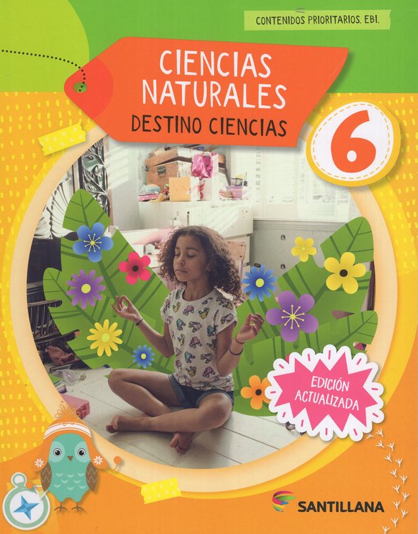 Imagen de CIENCIAS NATURALES 6 - DESTINO CIENCIAS / SANTILLANA