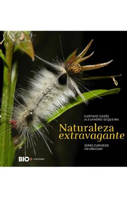 Imagen de NATURALEZA EXTRAVAGANTE /  GUSTAVO CASAS, ALEJANDRO SEQUEIRA