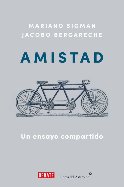Imagen de AMISTAD: UN ENSAYO COMPARTIDO / MARIANO SIGMAN, JACOBO BERGARECHE