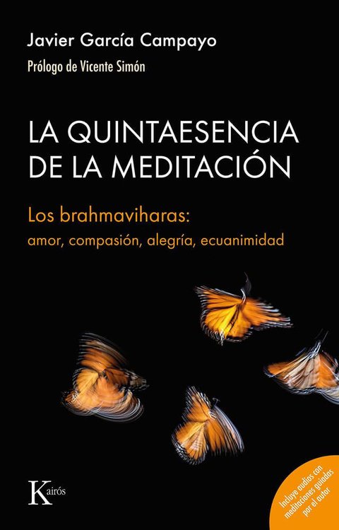 Imagen de LA QUINTAESENCIA DE LA MEDITACION / JAVIER GARCIA CAMPAYA