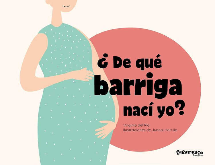Imagen de ¿DE QUÉ BARRIGA NACÍ YO? / VIRGINIA DEL RIO