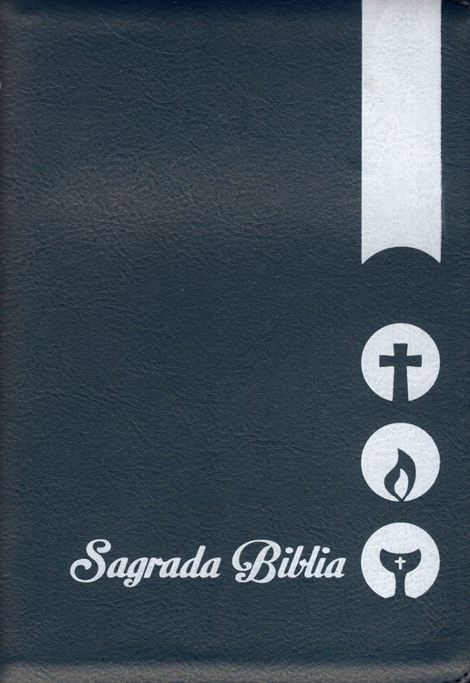 Imagen de SAGRADA BIBLIA DIOS HABLA HOY / SOCIEDAD BIBLICA COLOMBIANA