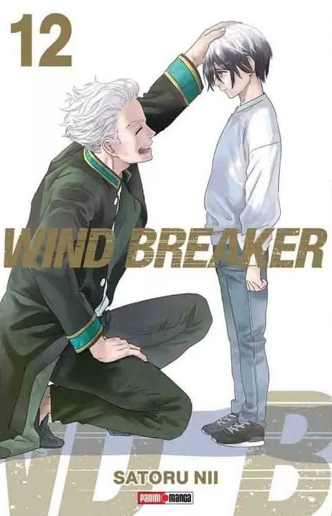 Imagen de WIND BREAKER VOL. 12 / SATORU NII