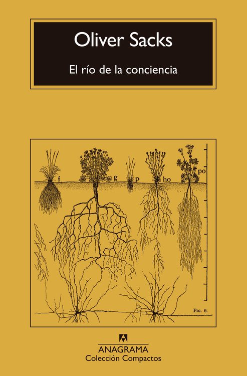 Imagen de EL RÍO DE LA CONCIENCIA / OLIVER SACKS