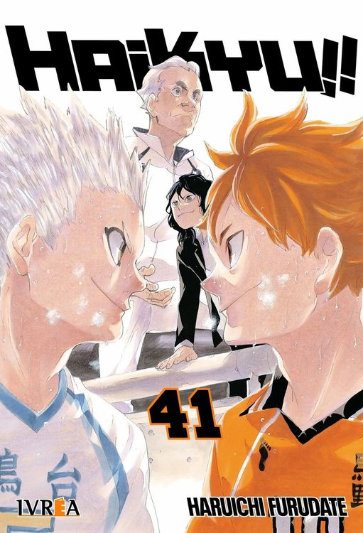 Imagen de Haikyu!! 41 - Ivrea