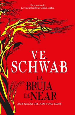 Imagen de LA BRUJA DE NEAR / V.E. SCHWAB