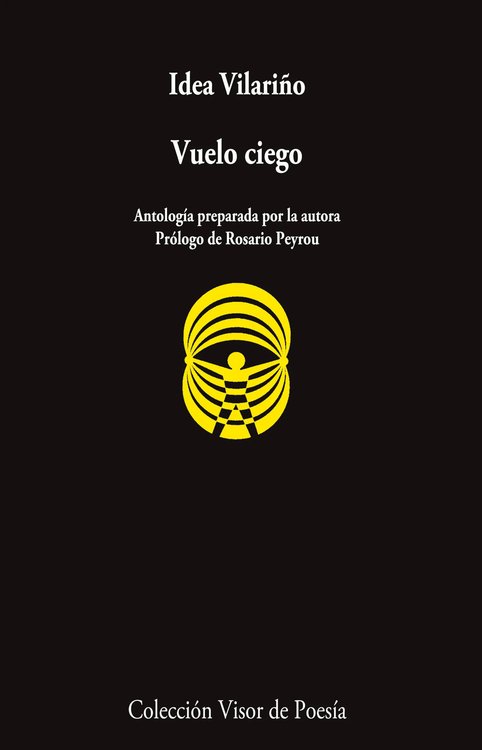 Imagen de VUELO CIEGO / IDEA VILARIÑO
