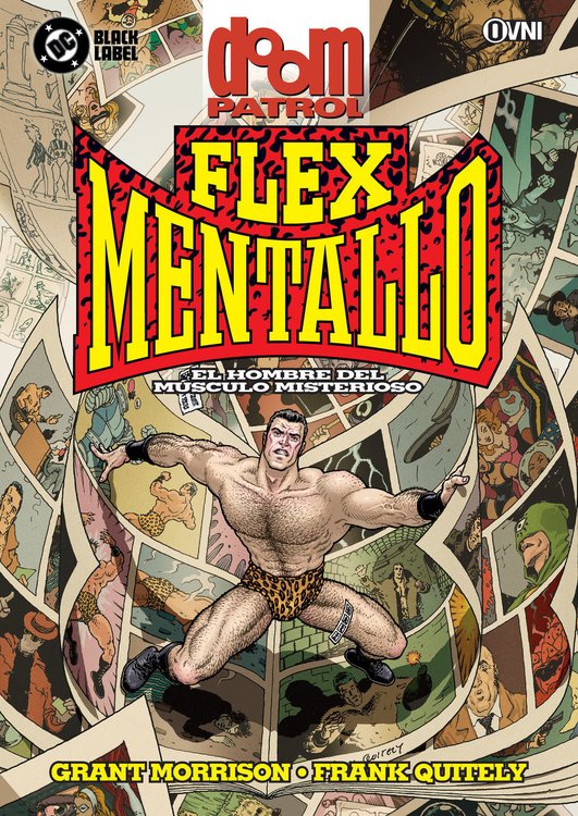 Imagen de DOOM PATROL: FLEX MENTALLO - EL HOMBRE DEL MÚSCULO MISTERIOSO / GRANT MORRISON