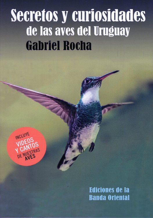 Imagen de SECRETOS Y CURIOSIDADES DE LAS AVES DEL URUGUAY / GABRIEL ROCHA
