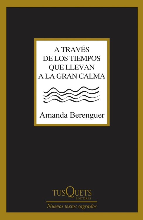Imagen de A TRAVÉS DE LOS TIEMPOS QUE LLEVAN A LA GRAN CALMA / AMANDA BERENGUER