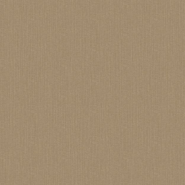 NAE2101561856