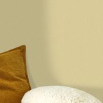 PAPEL CASELIO NAE2101561379