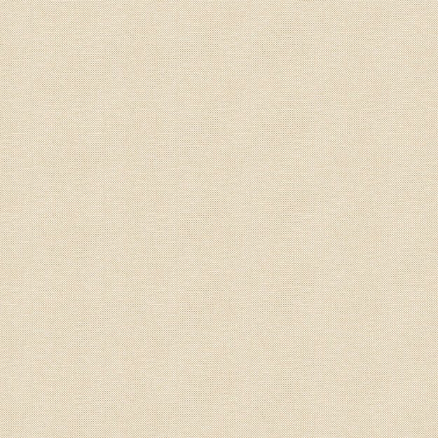 NAE2101570026