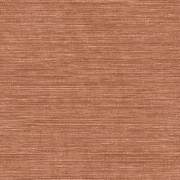 78213058