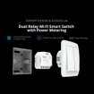 Imagen de Sonoff Dualr3 Lite Interruptor Inteligente Wifi