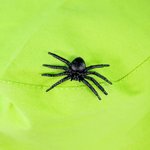 Imagen de Set de explorador de la naturaleza Bigjigs