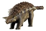 Imagen de Juego Paleontología Dinosaurios Realidad Aumentada Niños 6a+ - ankylosaurus
